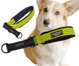 OBROŻA półzaciskowa zielona odblaskowa miękka dla psa 34-42 cm