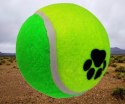 Piłka tenisowa dla psa zabawka twarda bardzo duża 10 cm XXL