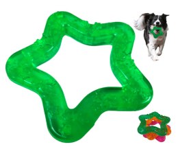 Zielona Gwiazdka silikonowa z wypustkami - Zabawka dla Psów